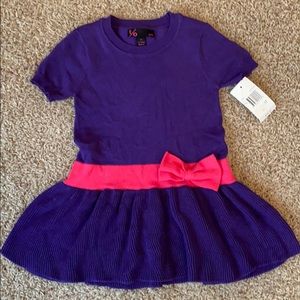 NEW Purple and Pink Sweater Dress